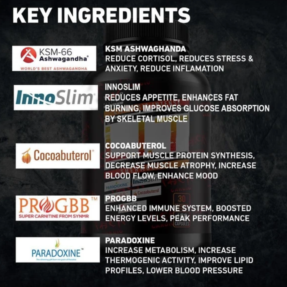 TWP - LIT - Thermogenic Fat Burner